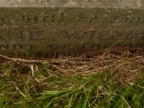 image of grave number 808852